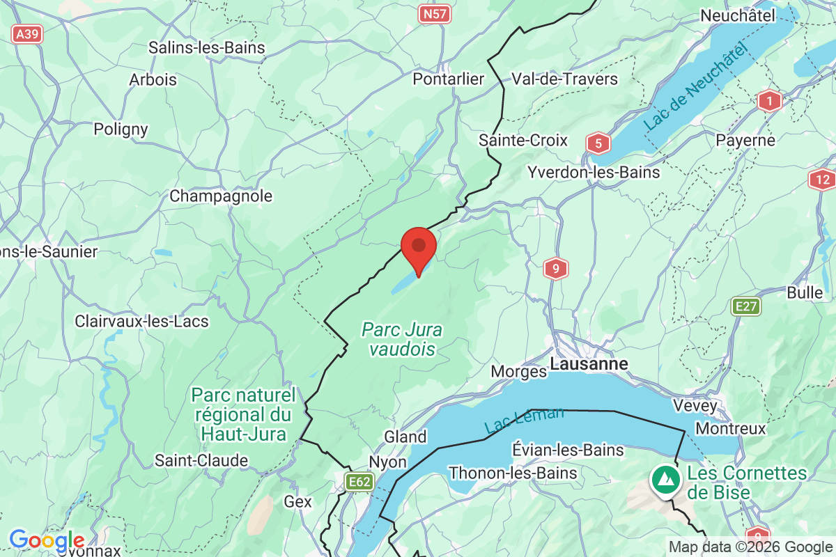 Prévisualisation de la carte