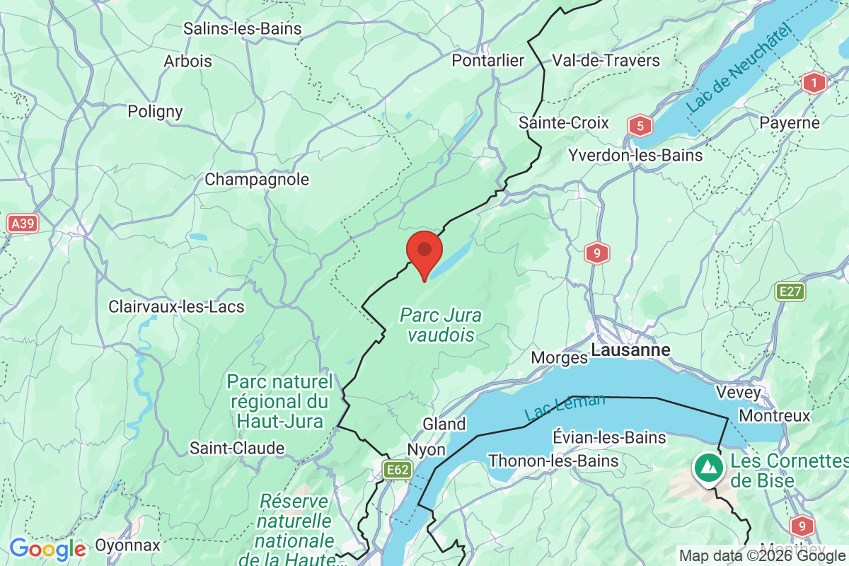 Prévisualisation de la carte