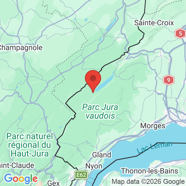 Prévisualisation de la carte