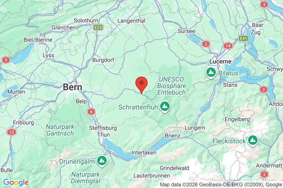 Prévisualisation de la carte