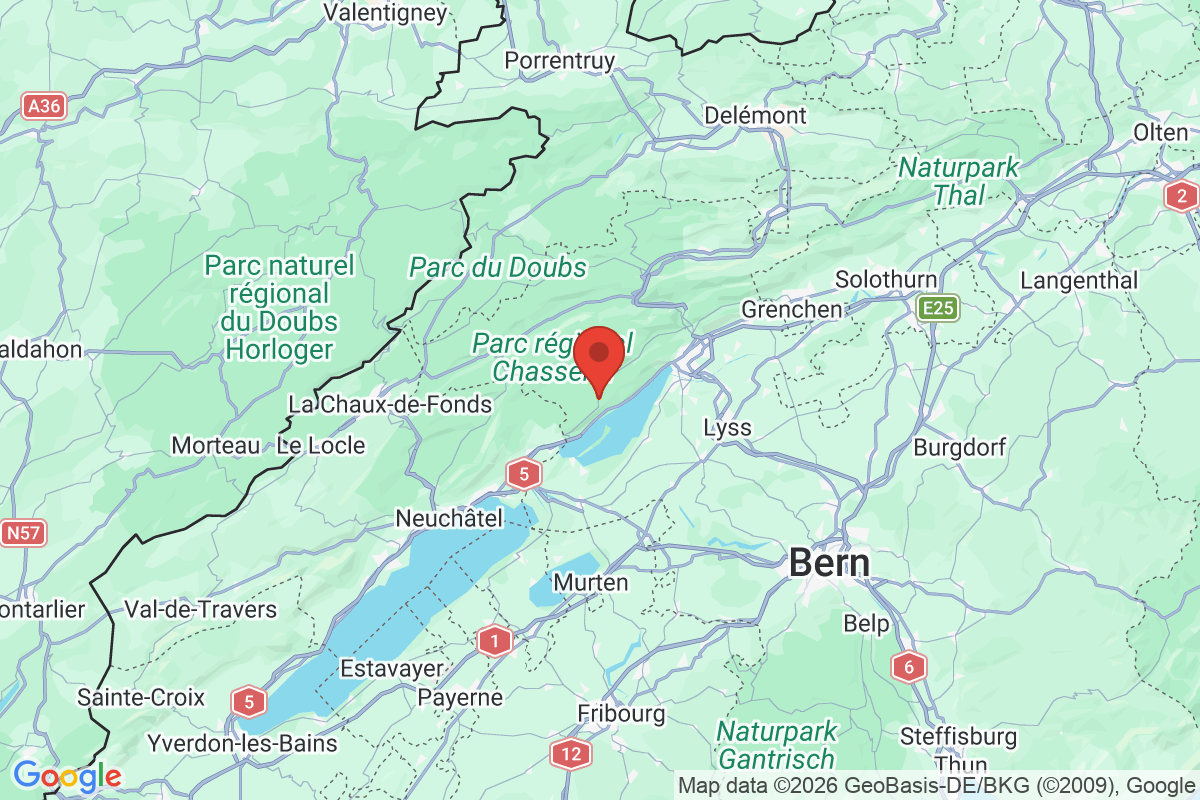 Prévisualisation de la carte