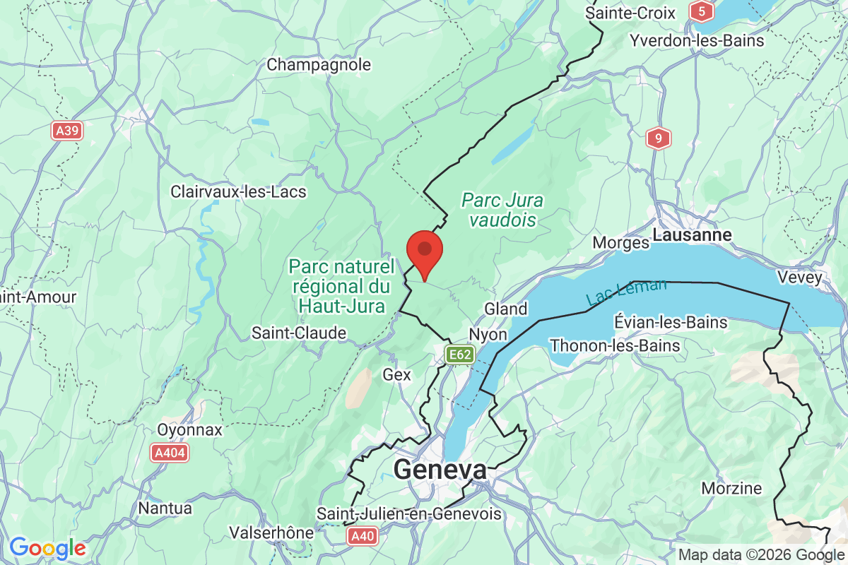 Prévisualisation de la carte