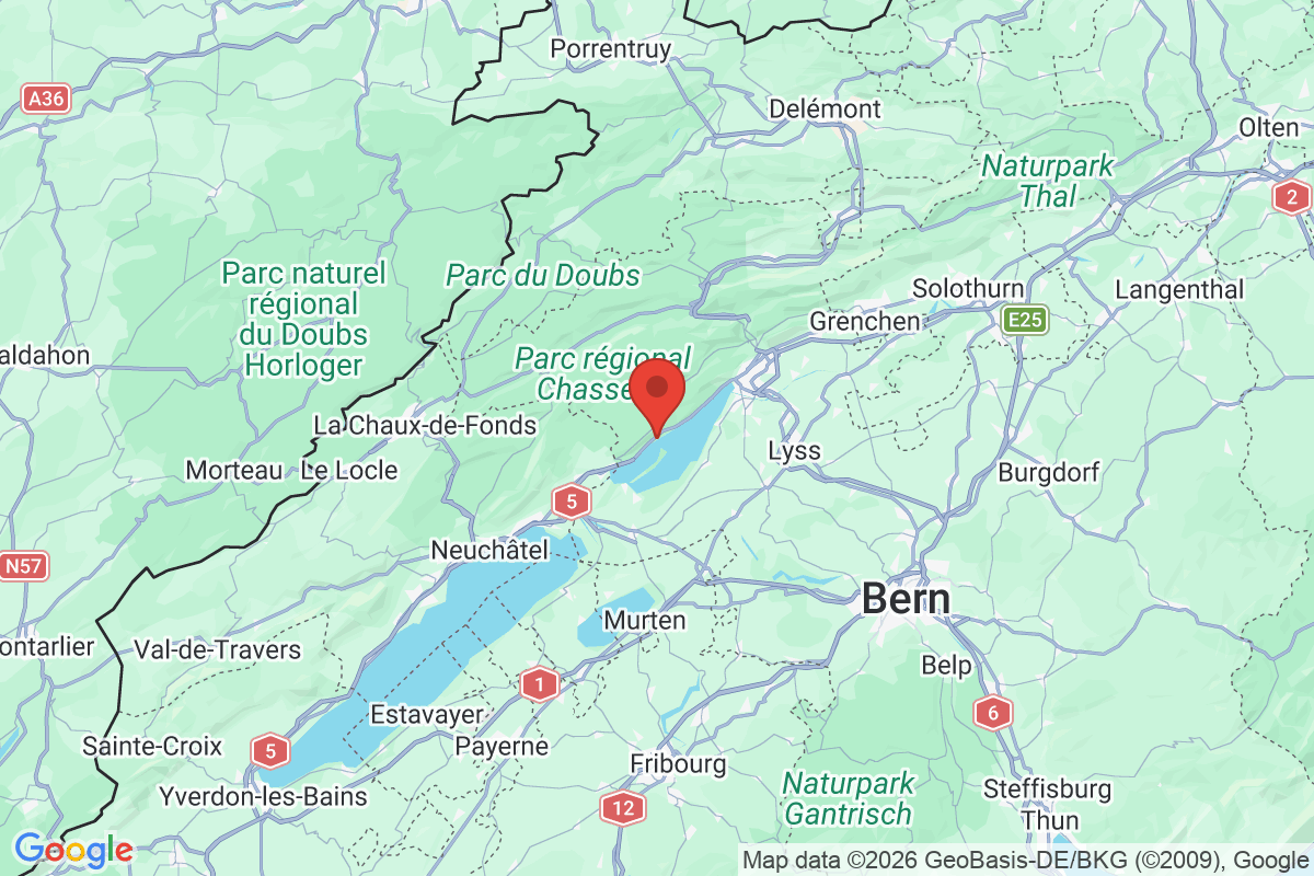 Prévisualisation de la carte