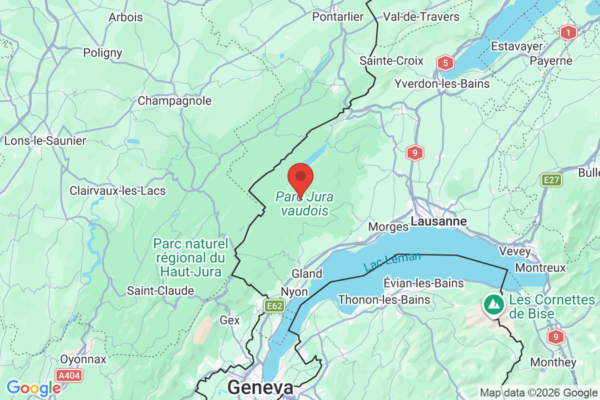Prévisualisation de la carte