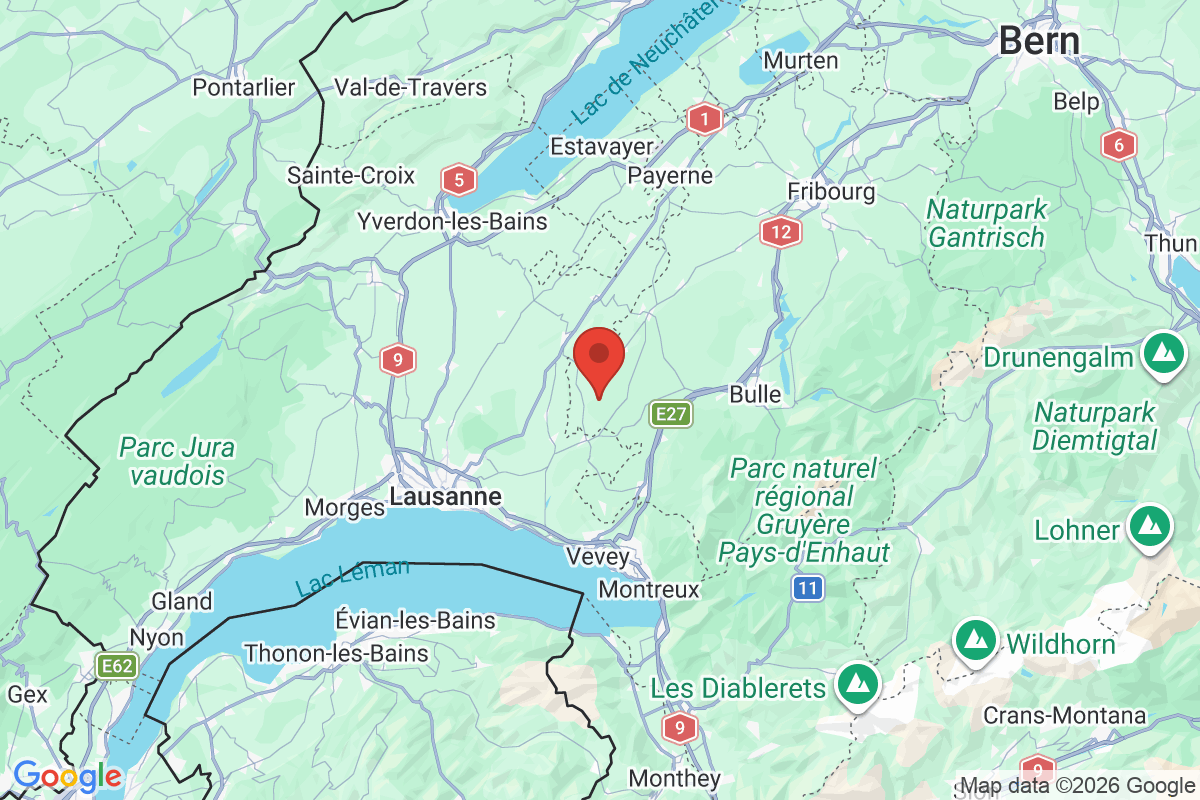 Prévisualisation de la carte