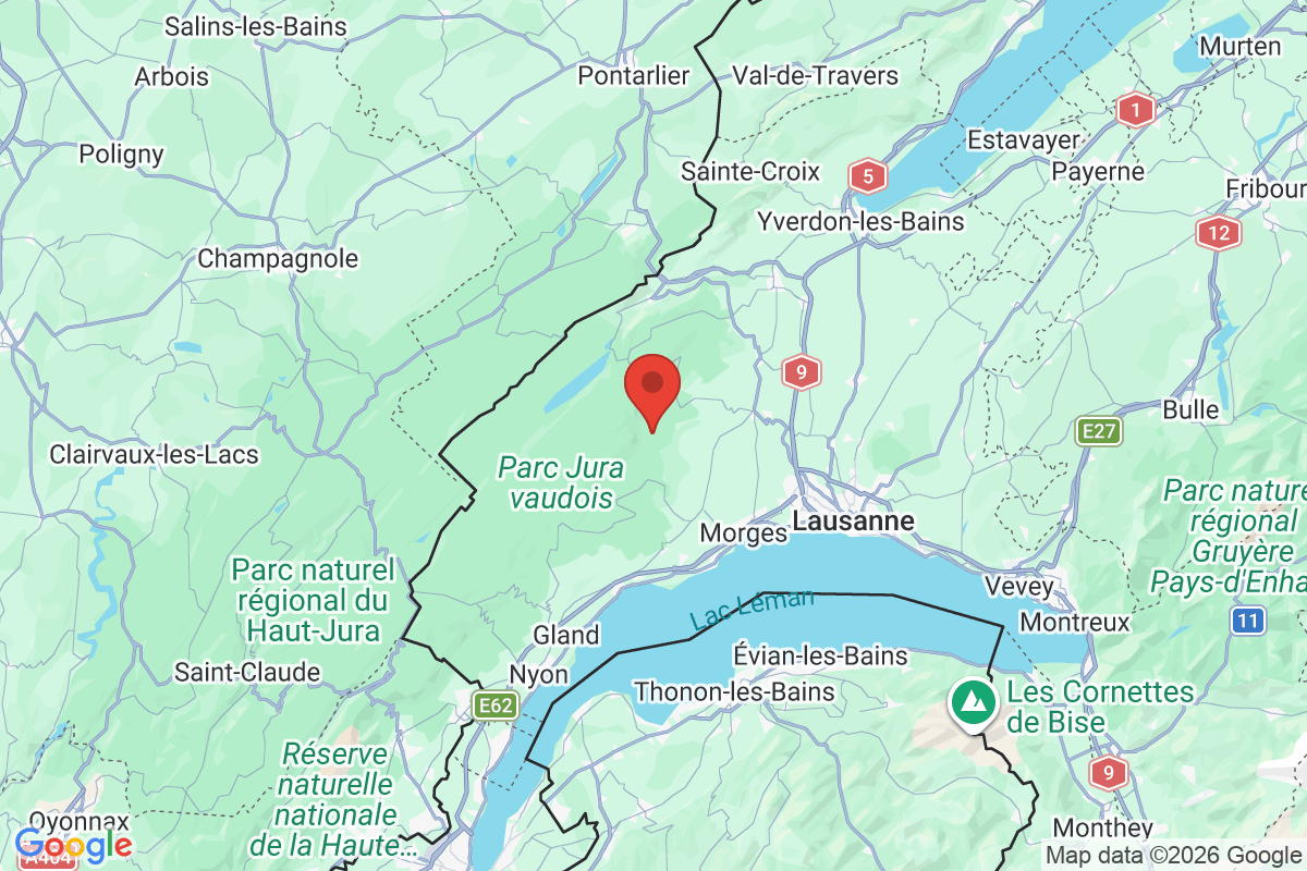 Prévisualisation de la carte