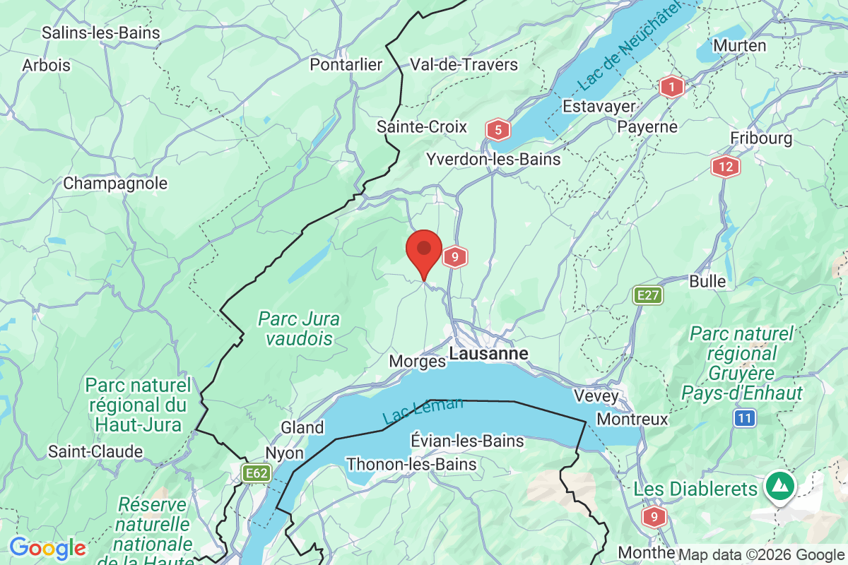 Prévisualisation de la carte