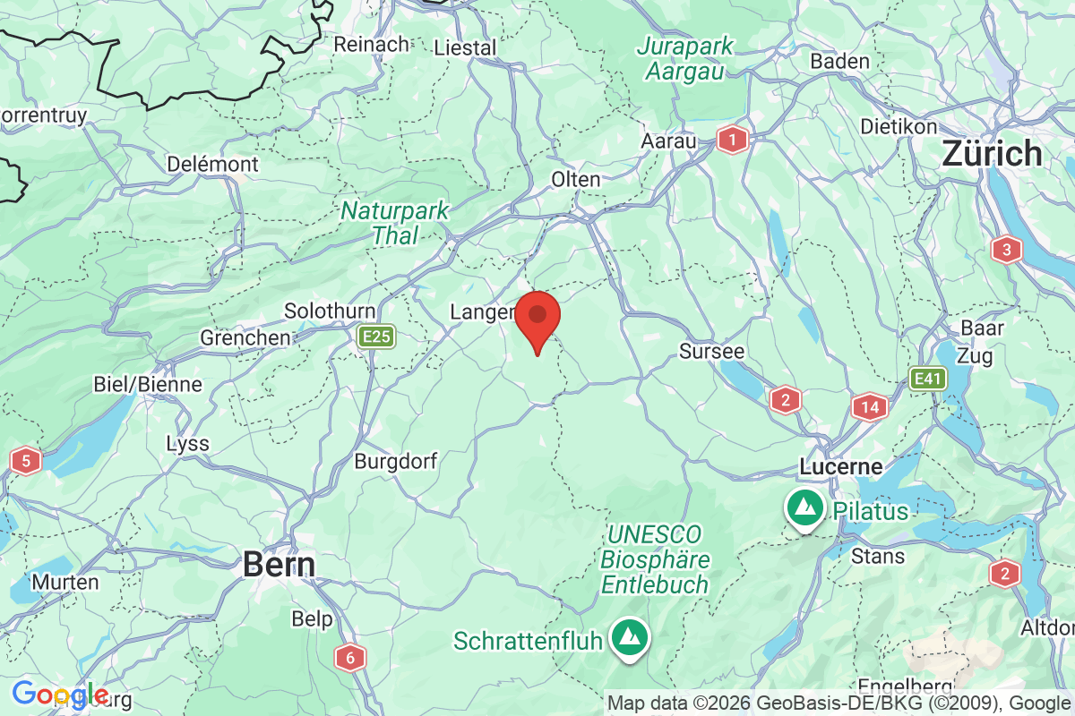 Prévisualisation de la carte