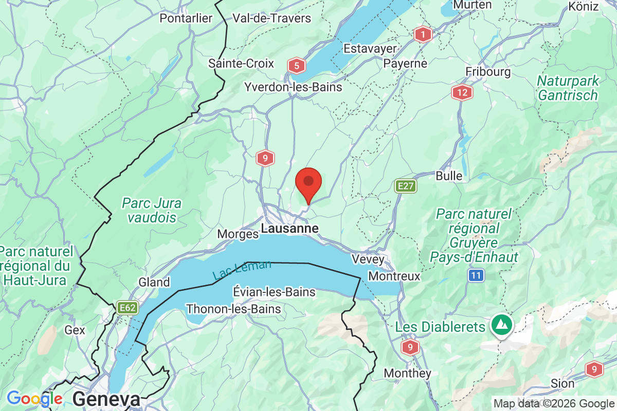 Prévisualisation de la carte