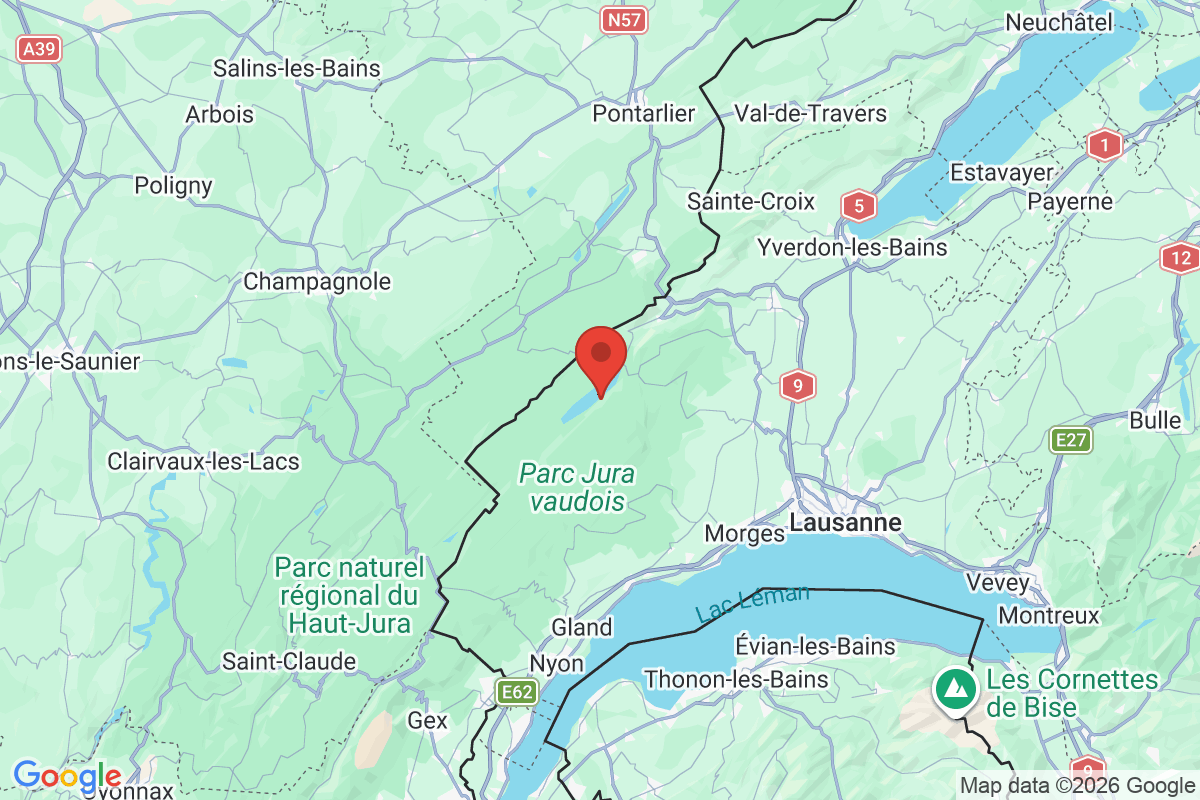 Prévisualisation de la carte