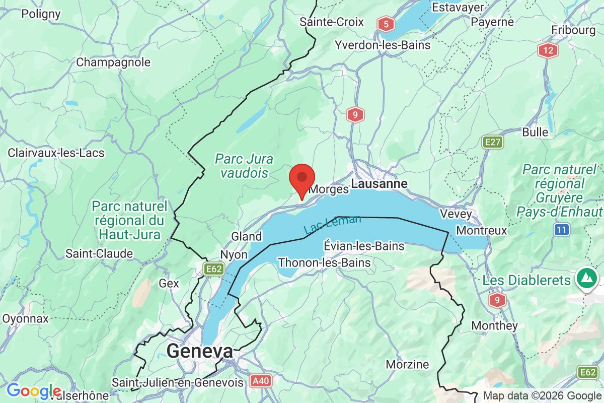 Prévisualisation de la carte