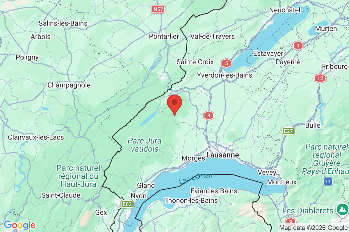 Prévisualisation de la carte