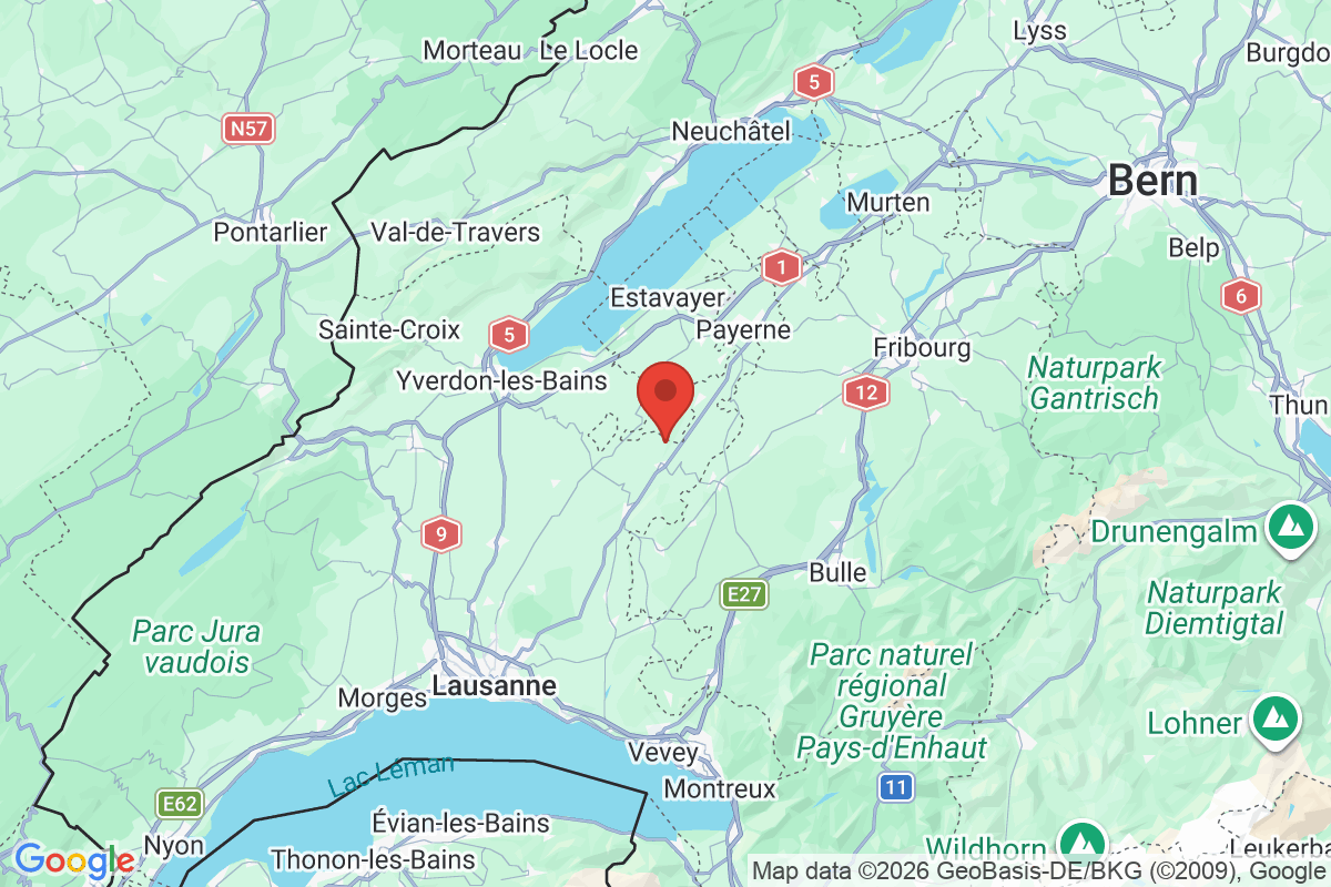 Prévisualisation de la carte