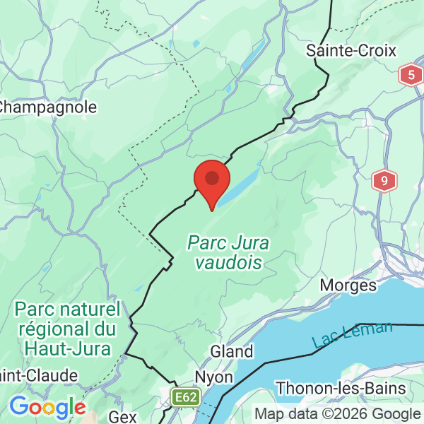 Prévisualisation de la carte