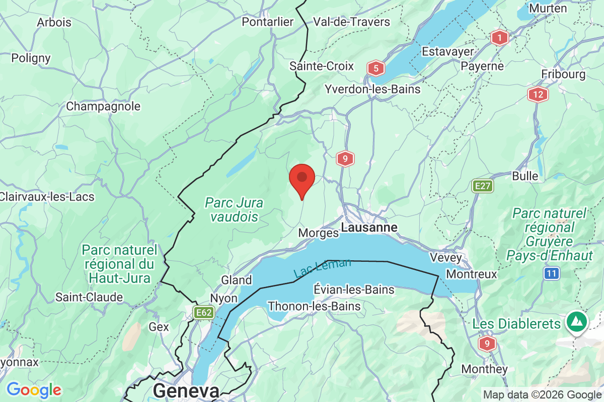 Prévisualisation de la carte