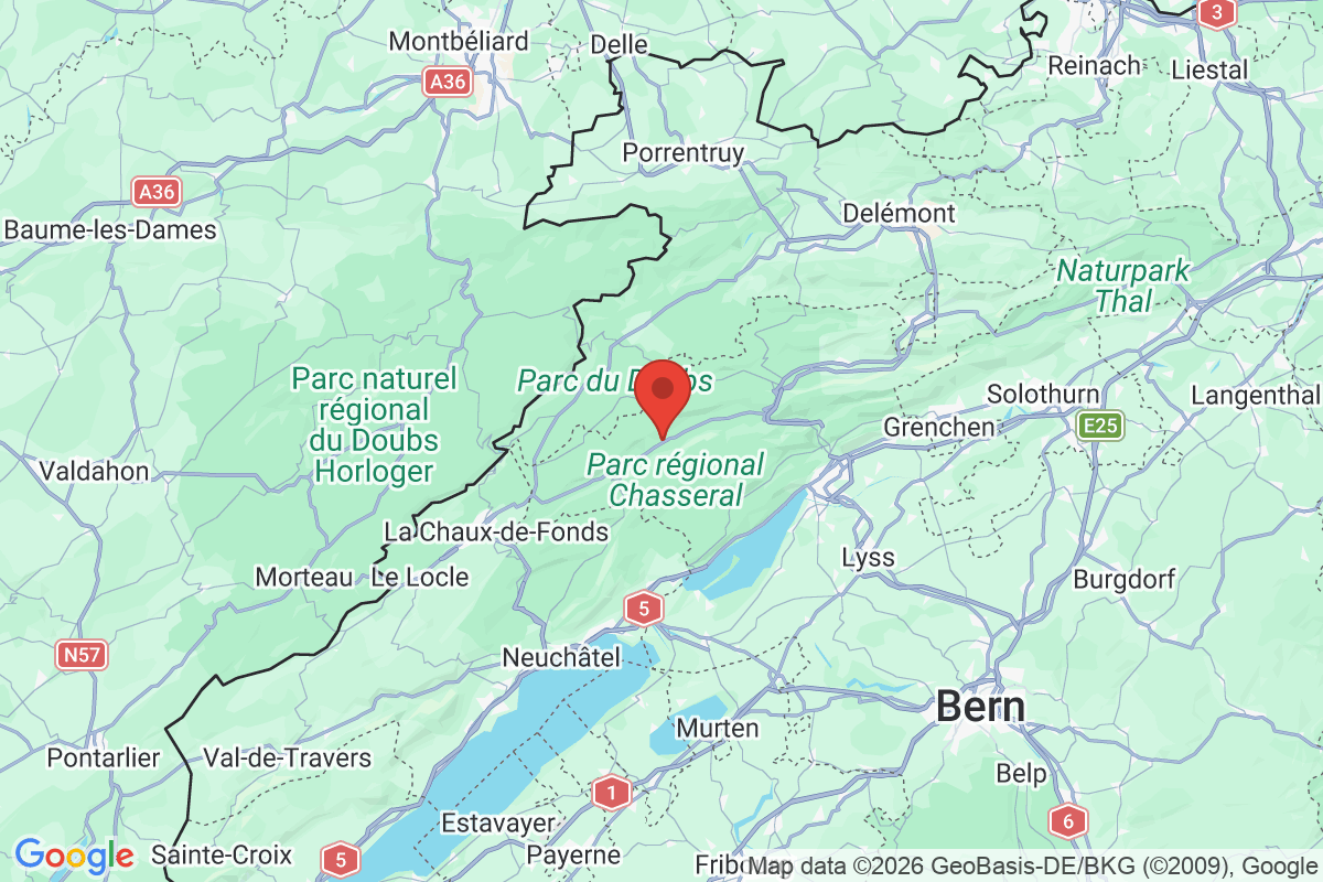 Prévisualisation de la carte
