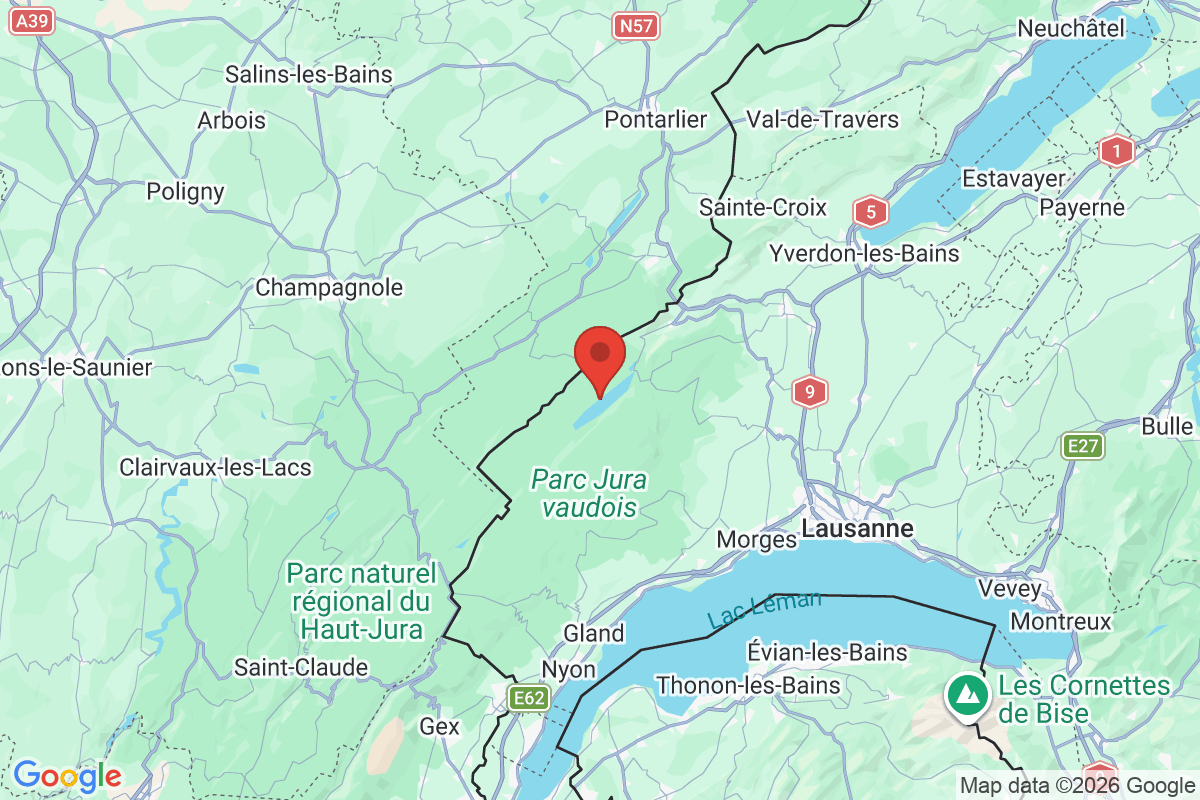 Prévisualisation de la carte