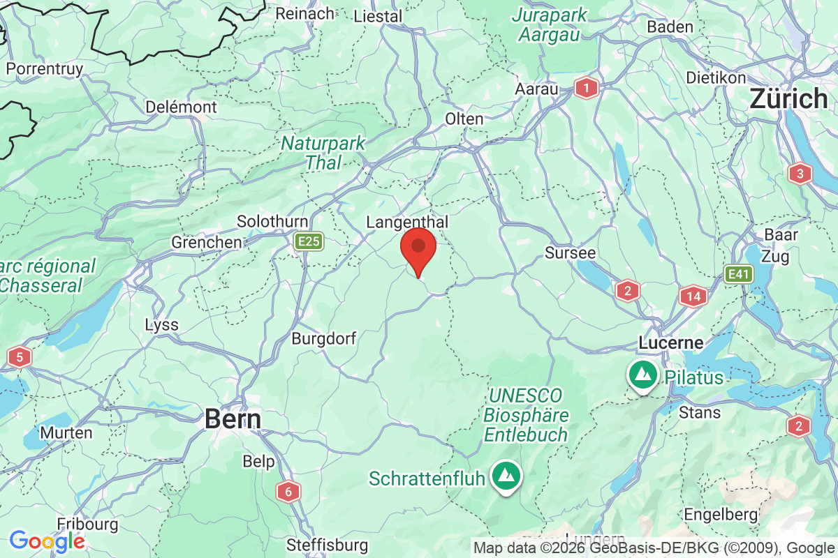 Prévisualisation de la carte