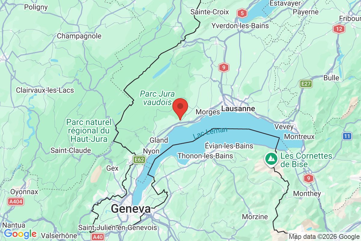 Prévisualisation de la carte