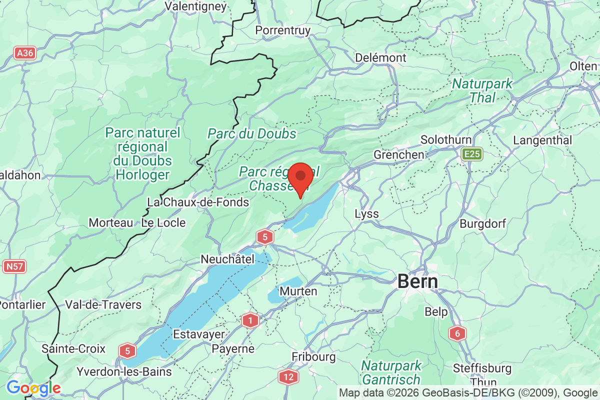 Prévisualisation de la carte