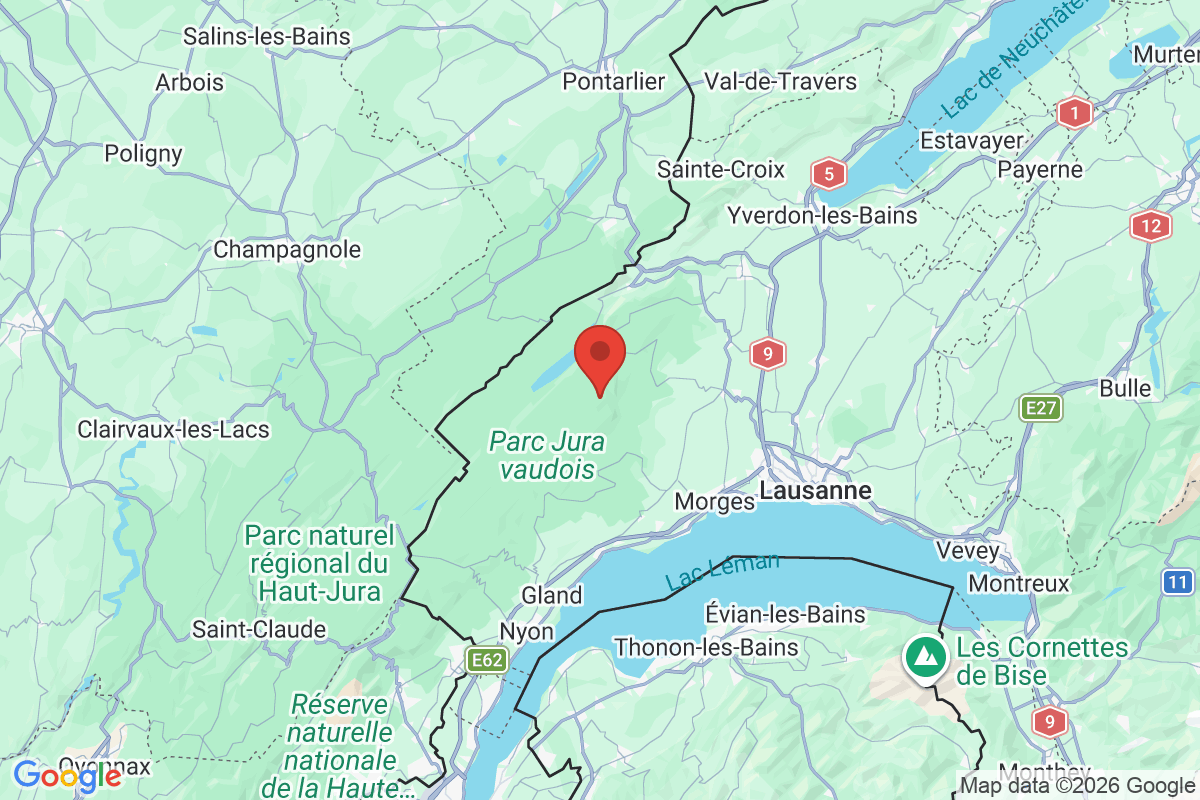 Prévisualisation de la carte