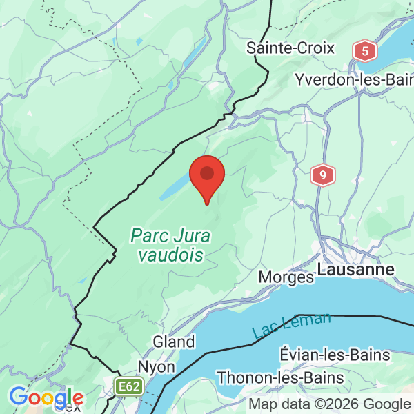 Prévisualisation de la carte