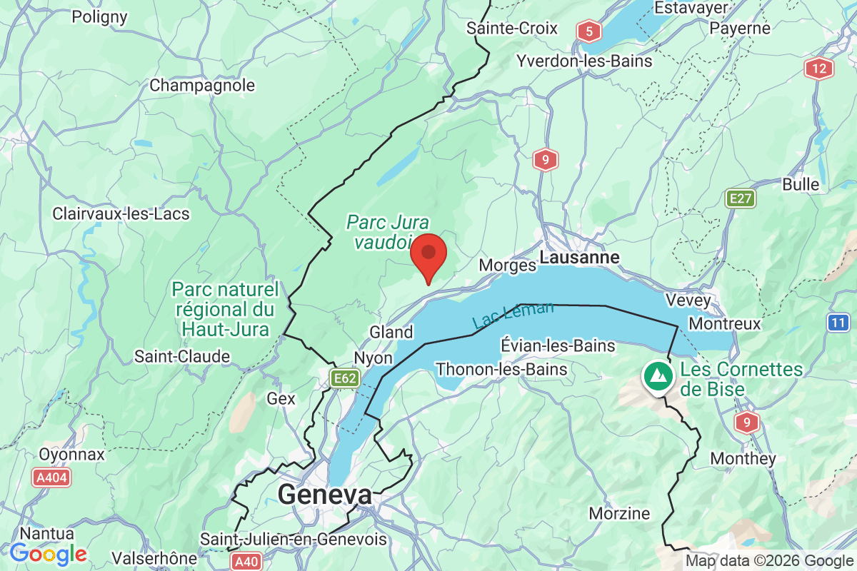 Prévisualisation de la carte