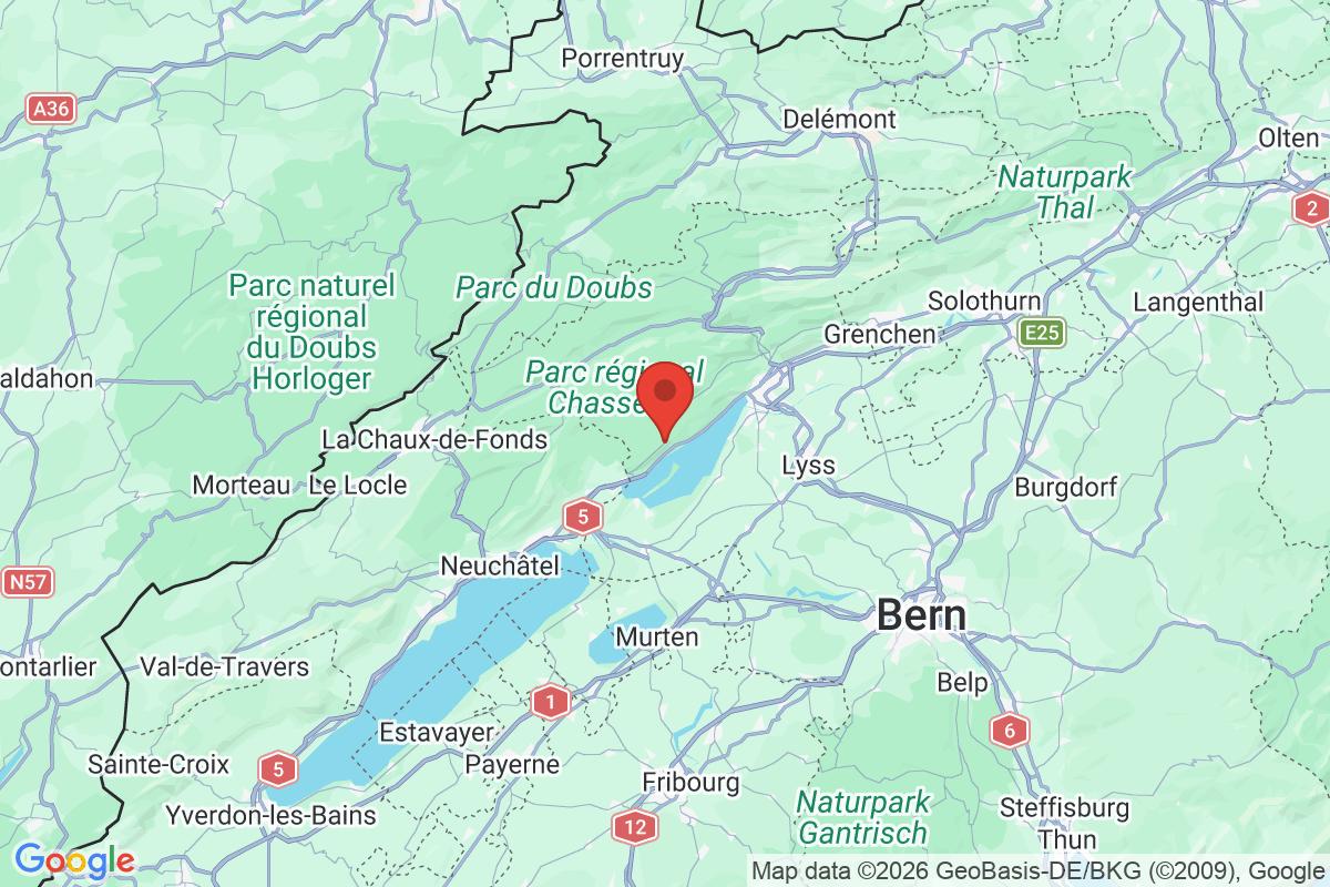 Prévisualisation de la carte