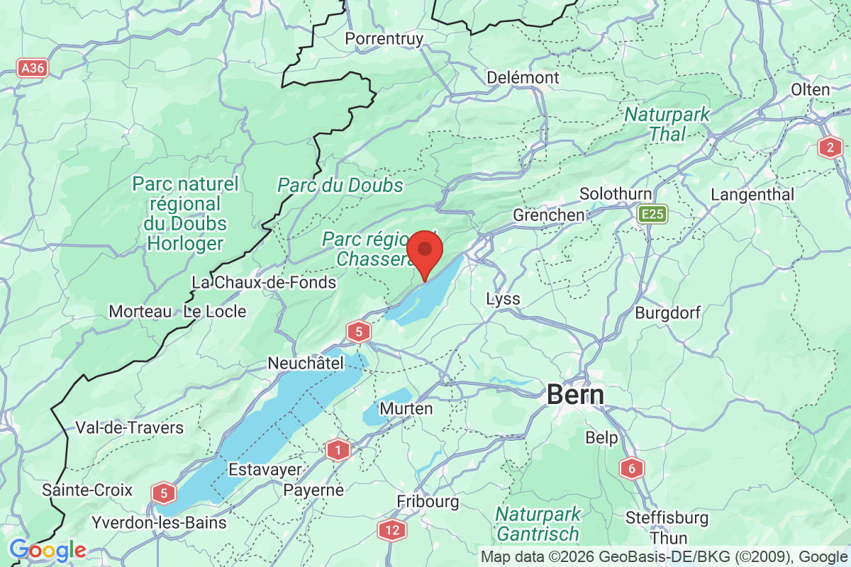 Prévisualisation de la carte