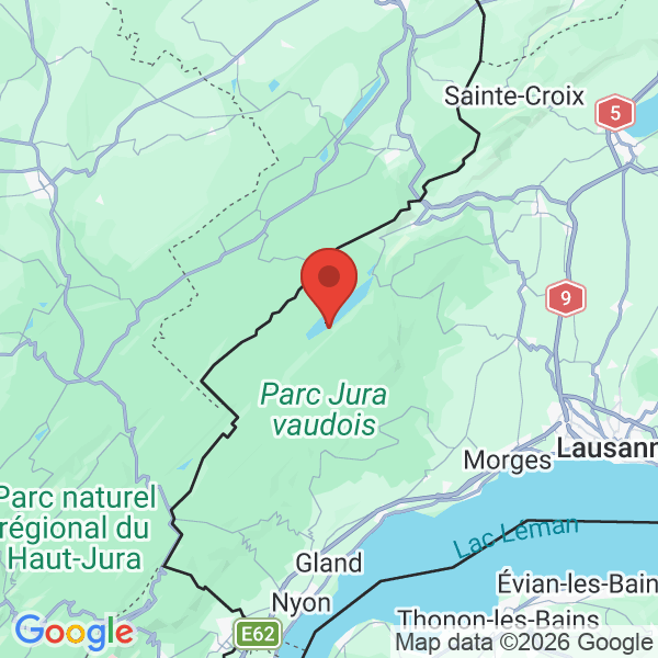 Prévisualisation de la carte