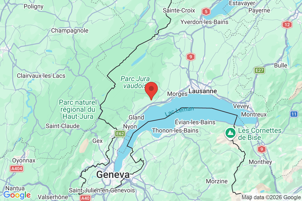 Prévisualisation de la carte