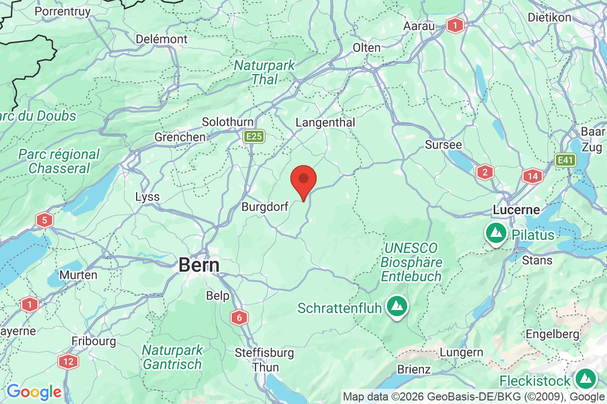 Prévisualisation de la carte