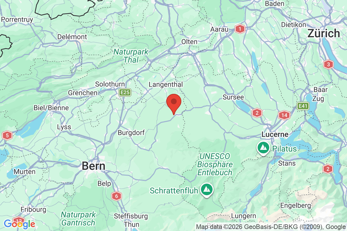 Prévisualisation de la carte