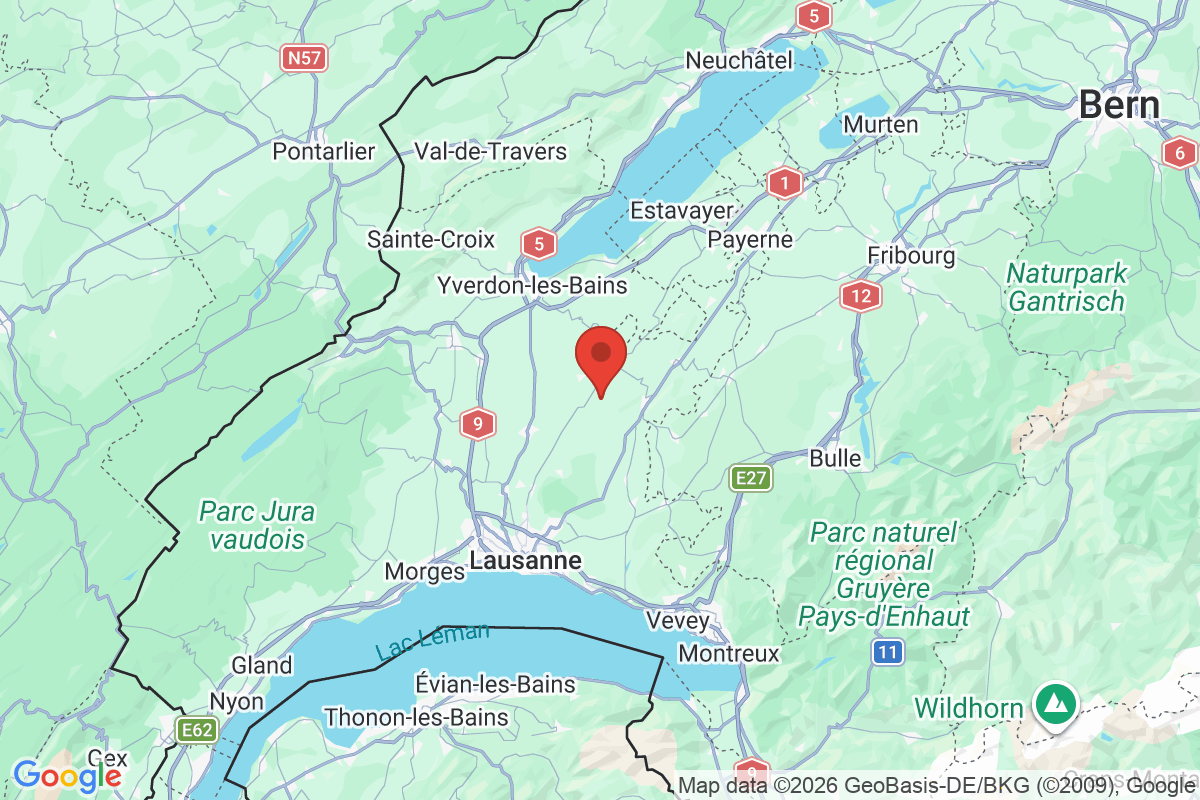 Prévisualisation de la carte