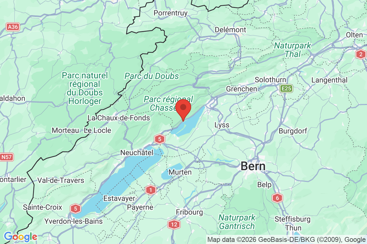 Prévisualisation de la carte