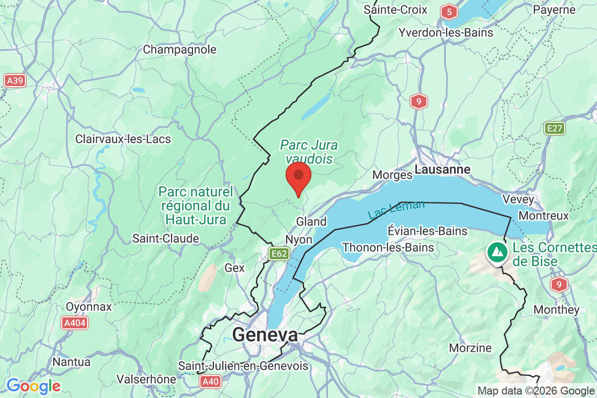 Prévisualisation de la carte