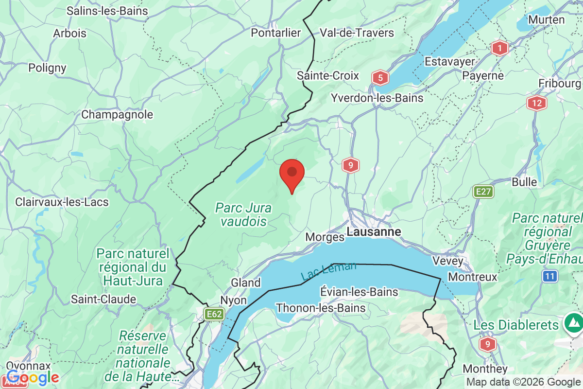 Prévisualisation de la carte