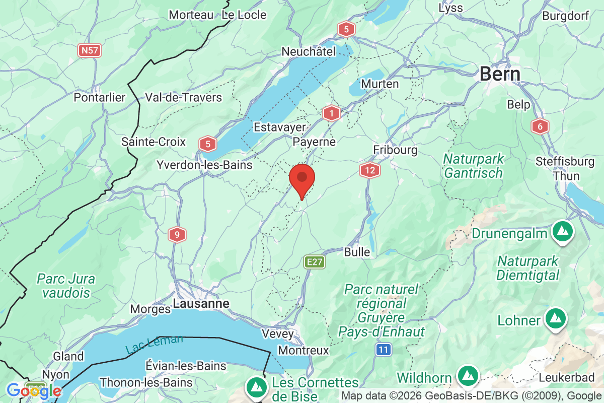 Prévisualisation de la carte