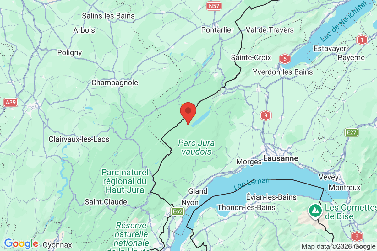 Prévisualisation de la carte