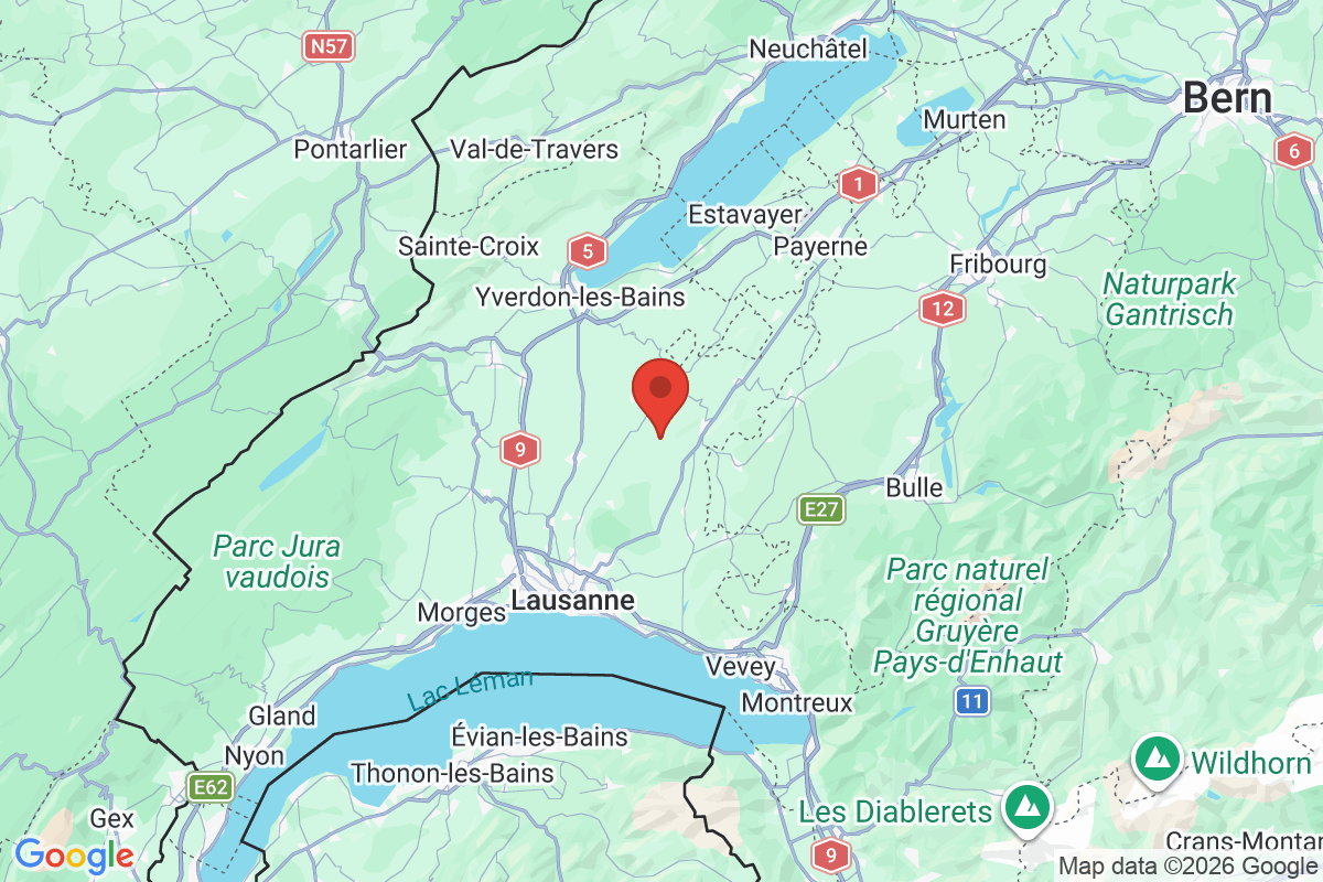 Prévisualisation de la carte