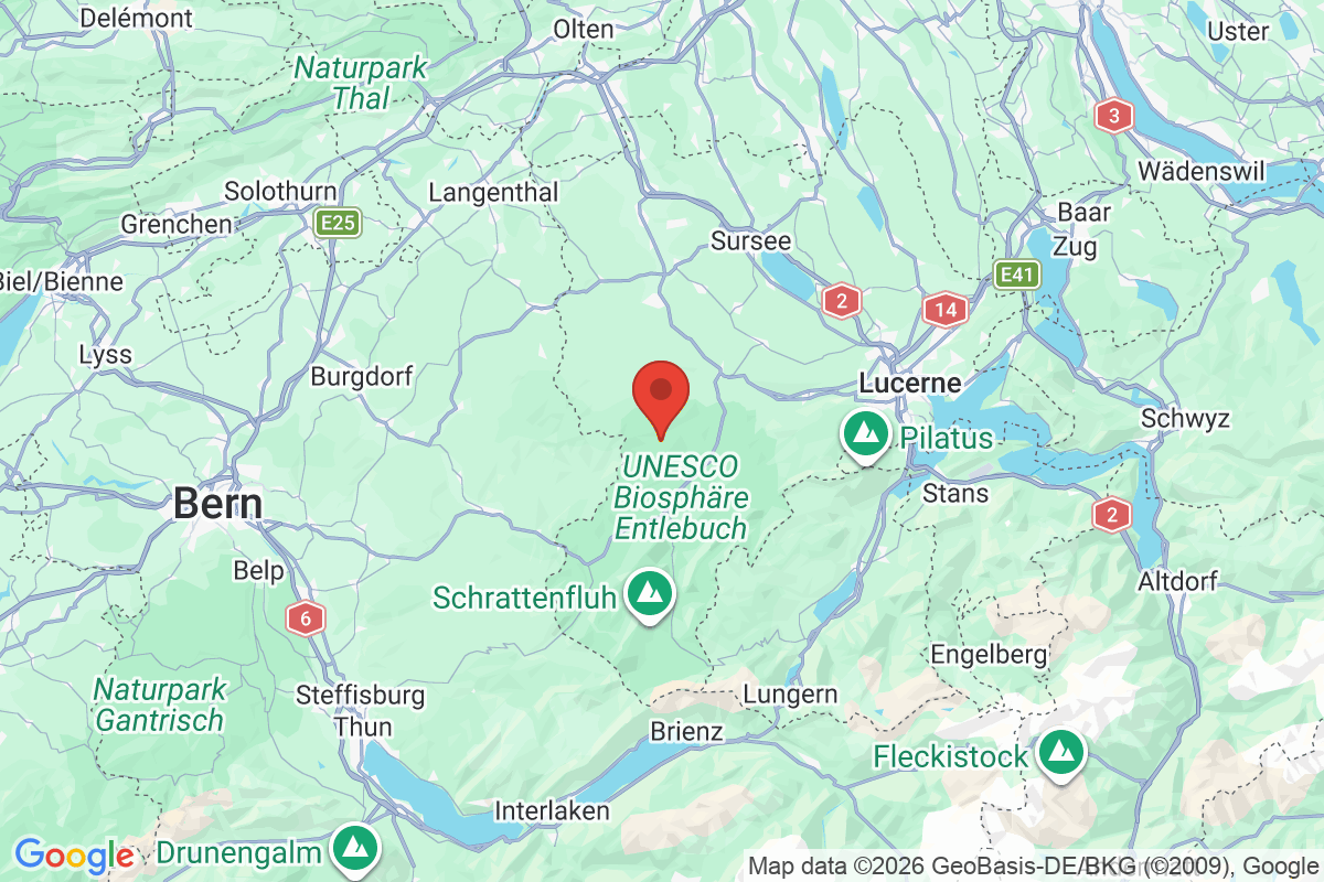 Prévisualisation de la carte