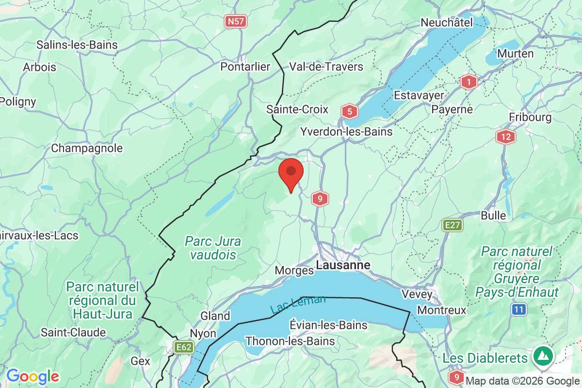 Prévisualisation de la carte