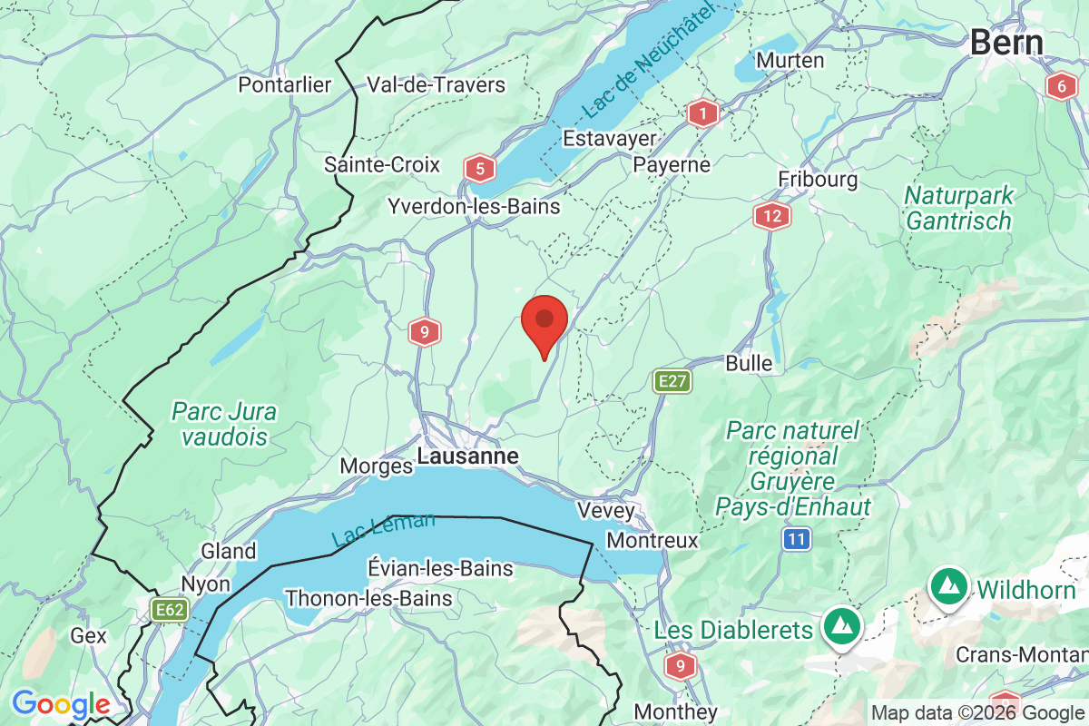 Prévisualisation de la carte