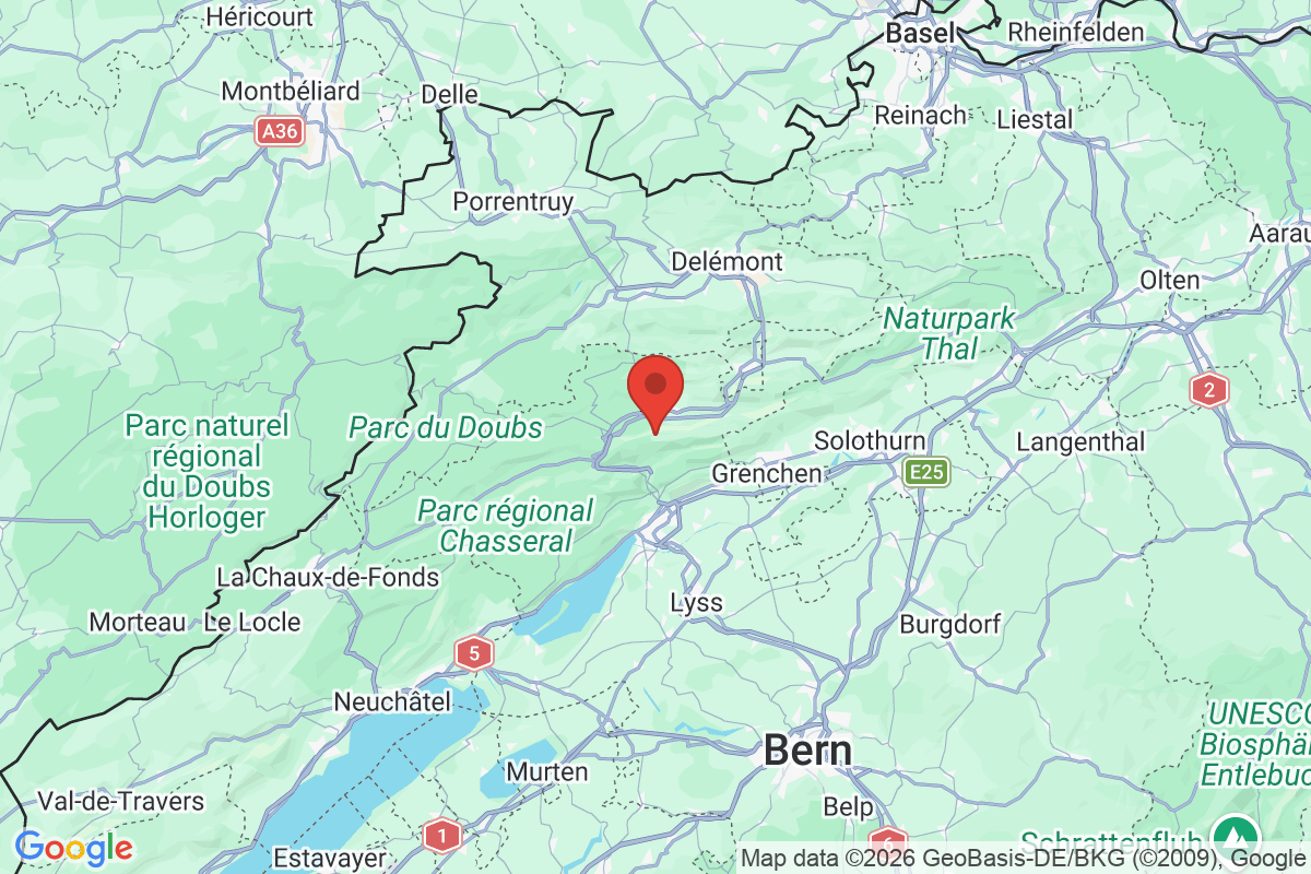 Prévisualisation de la carte