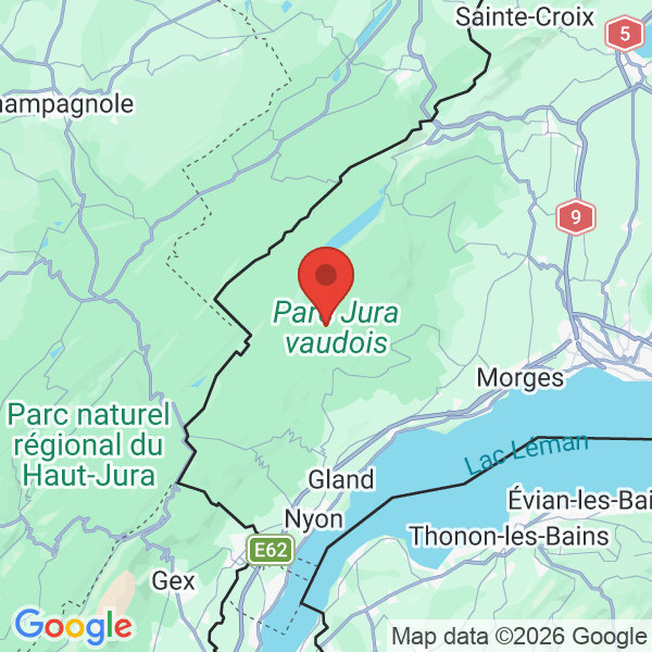 Prévisualisation de la carte