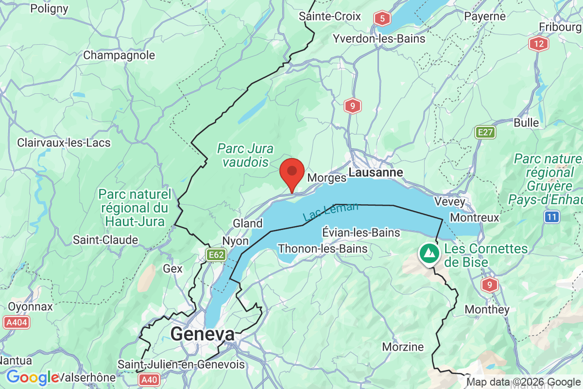 Prévisualisation de la carte